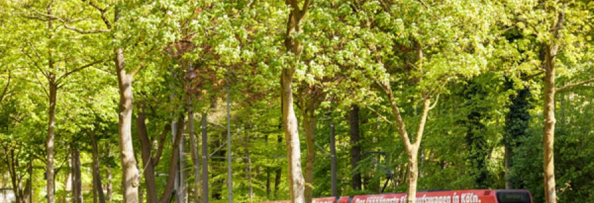 Ergebnisse des Onlinedialogs zur StadtBahn Süd